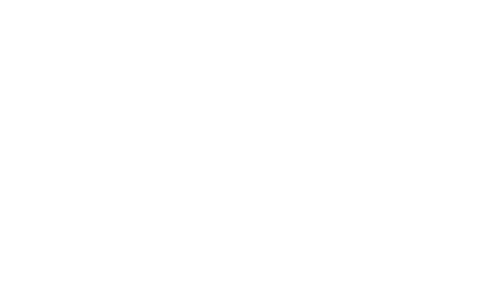 Left Bottom Feather